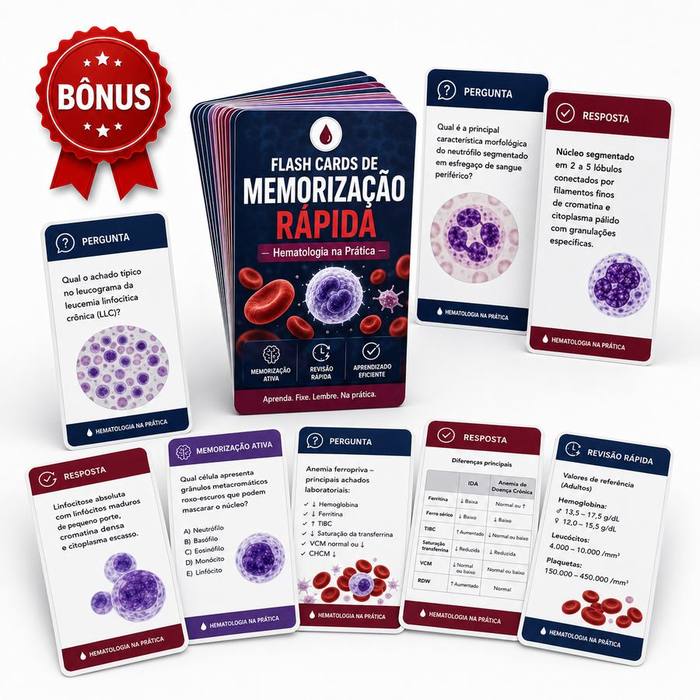 Flashcards de Memorização Rápida
